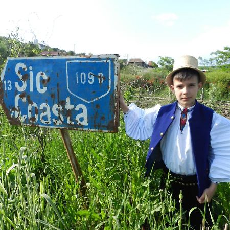Csipkeszeg Bed & Breakfast Sic / Szek Romania エクステリア 写真