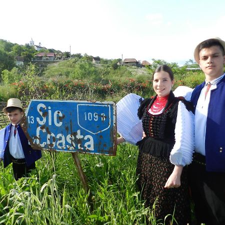Csipkeszeg Bed & Breakfast Sic / Szek Romania エクステリア 写真