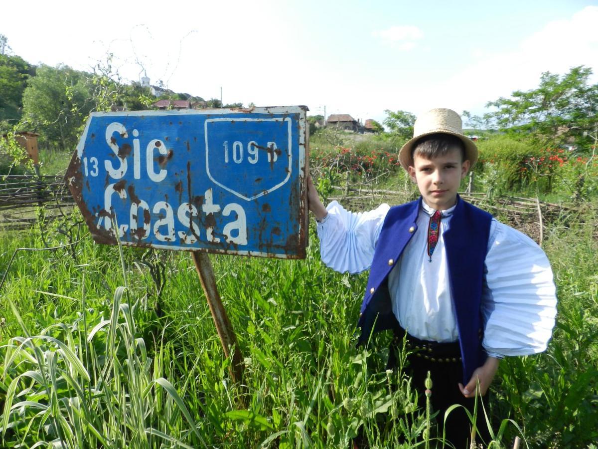 Csipkeszeg Bed & Breakfast Sic / Szek Romania エクステリア 写真