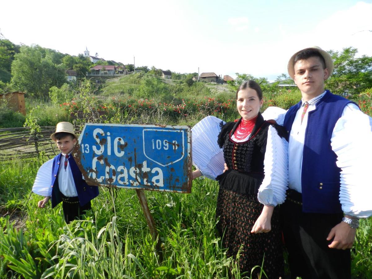 Csipkeszeg Bed & Breakfast Sic / Szek Romania エクステリア 写真