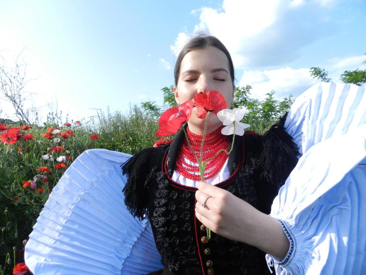 Csipkeszeg Bed & Breakfast Sic / Szek Romania エクステリア 写真