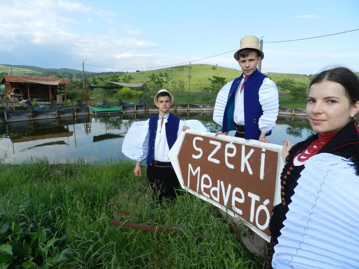 Csipkeszeg Bed & Breakfast Sic / Szek Romania エクステリア 写真