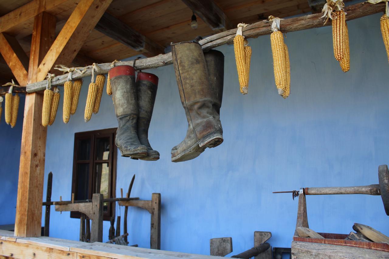 Csipkeszeg Bed & Breakfast Sic / Szek Romania エクステリア 写真