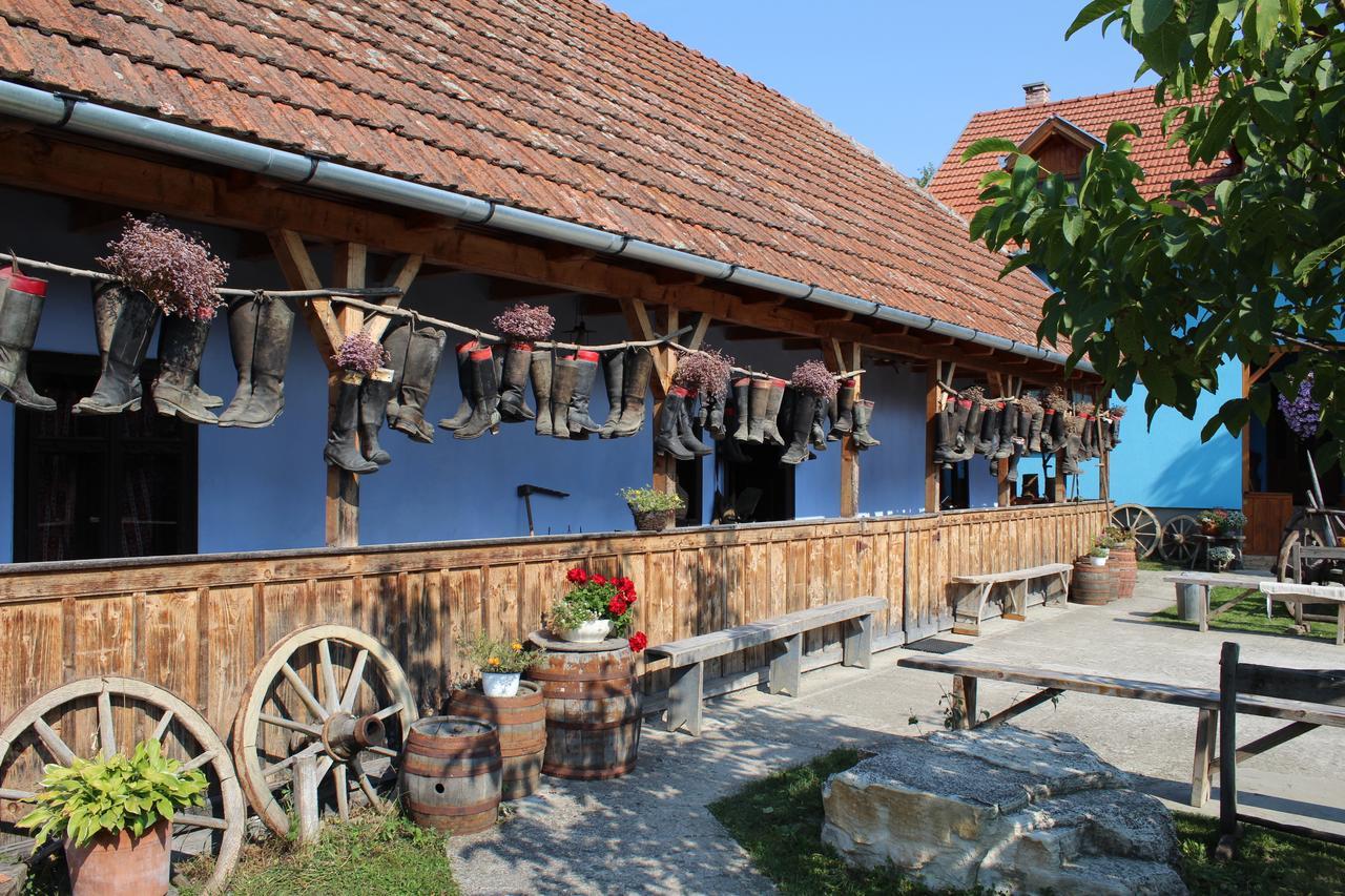 Csipkeszeg Bed & Breakfast Sic / Szek Romania エクステリア 写真