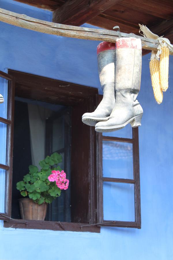 Csipkeszeg Bed & Breakfast Sic / Szek Romania エクステリア 写真