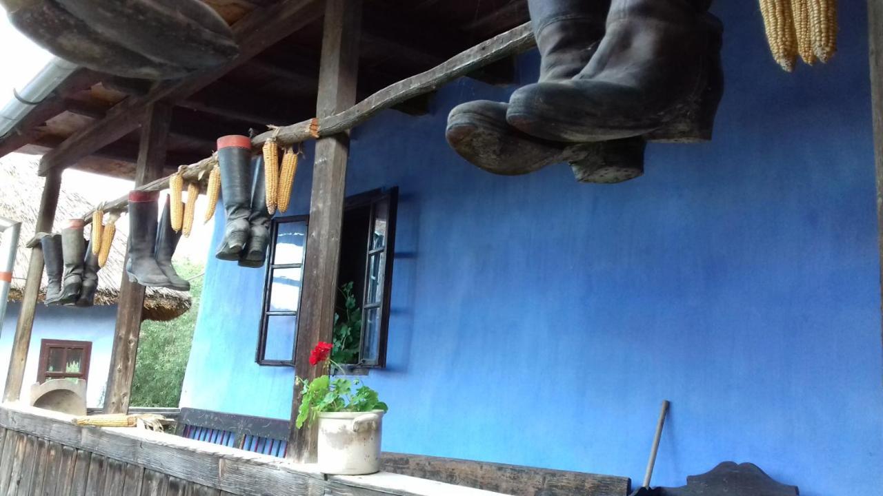 Csipkeszeg Bed & Breakfast Sic / Szek Romania エクステリア 写真
